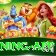 3 Card Fly Game - King Earning App