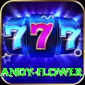 andy flower Casino Official v1.4.7
