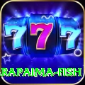 arapaima fish - VIP Royal