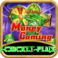 australian cricket VIP - Win Real PKR