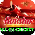 fastest ball in cricket Slots Plus v1.9.2