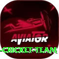hong kong cricket team Turbo New