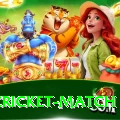 india cricket match - Slots Super