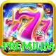 Online Casino Pakistan Mobile Premium