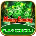 play cricket App Master v1.1.5