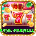 wayne parnell Pakistan Mega v5.2.5