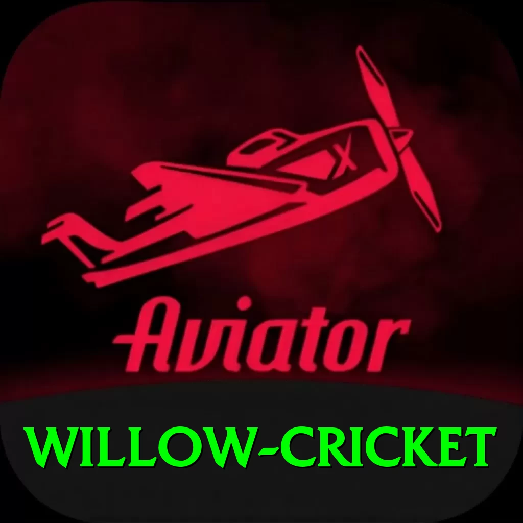 willow cricket - Live Premium - 2