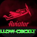 willow cricket - Live Premium